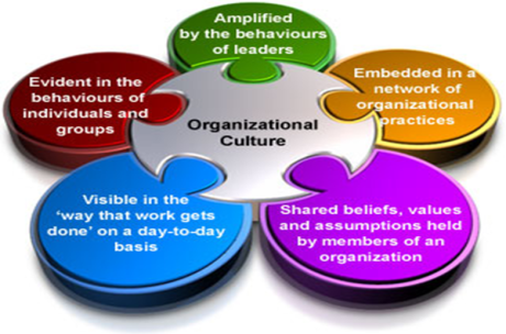 Organizational behavior at disney